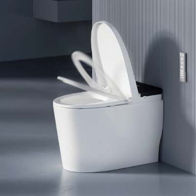 Bidspa (Electronic WC)