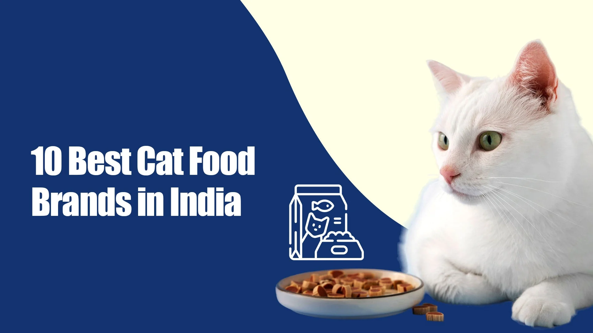 Top 10 Cat Food Brands in India 2025: Expert Picks from Zigly in Sarabha Nagar, Ludhiana