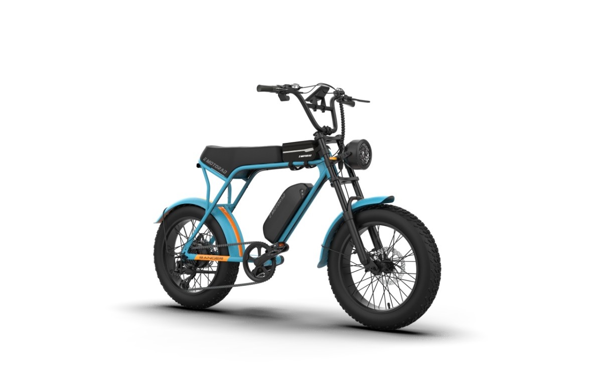 Ranger Large Electric Cycle