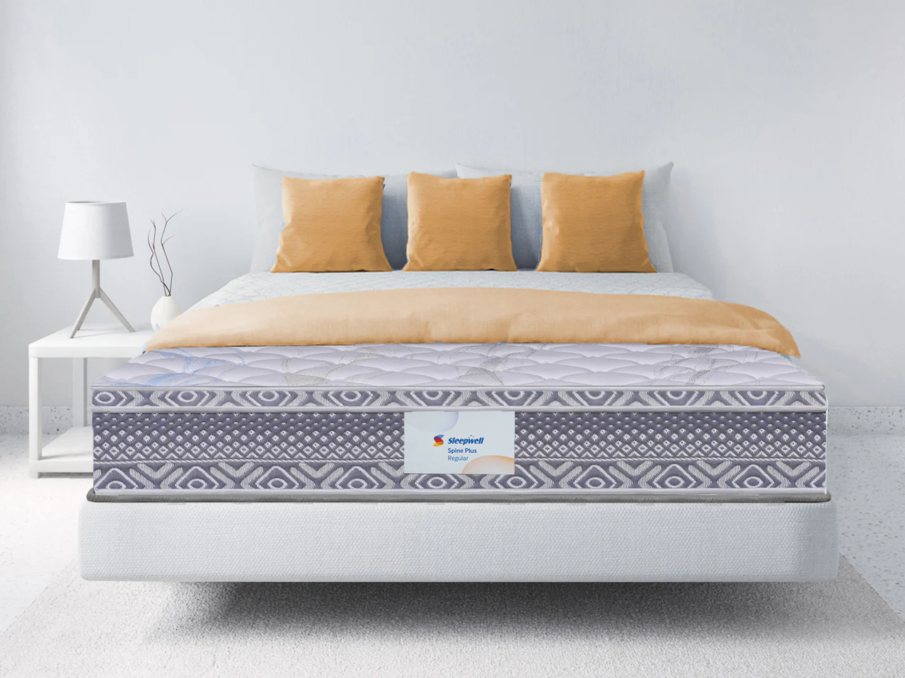 Spine Plus Regular Category