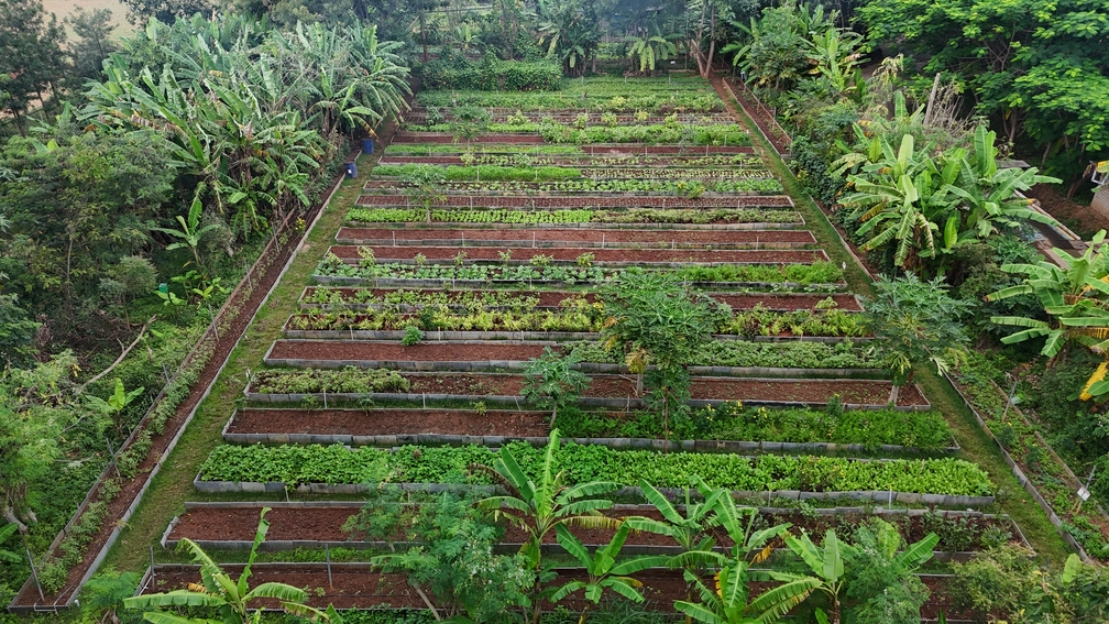Akshayakalpa Organic