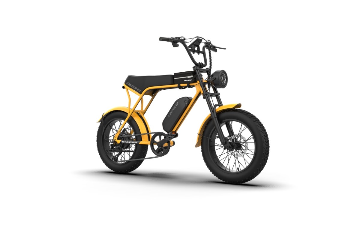 Ranger Medium Electric Cycle
