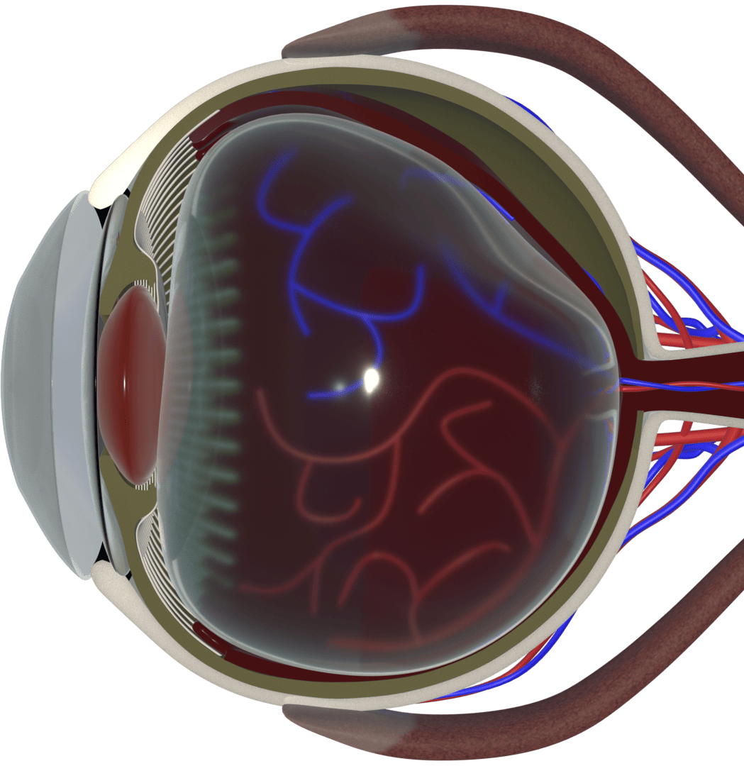 Retina Diseases Category