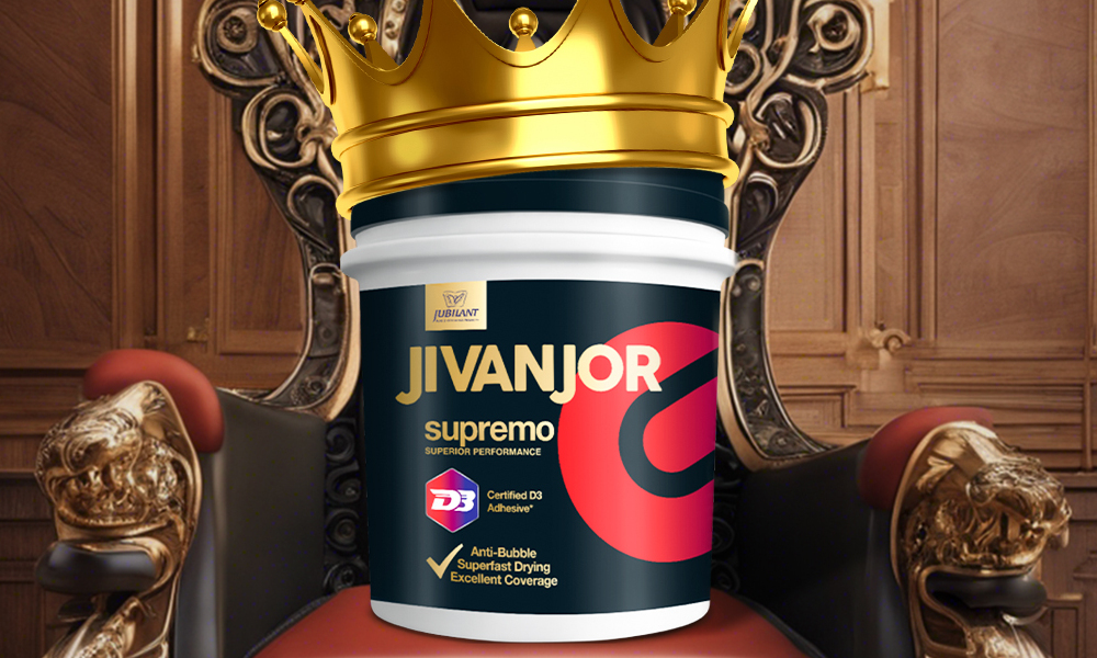 Jivanjor - Trillion Ply World