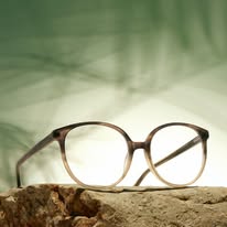 Eyeglasses Category