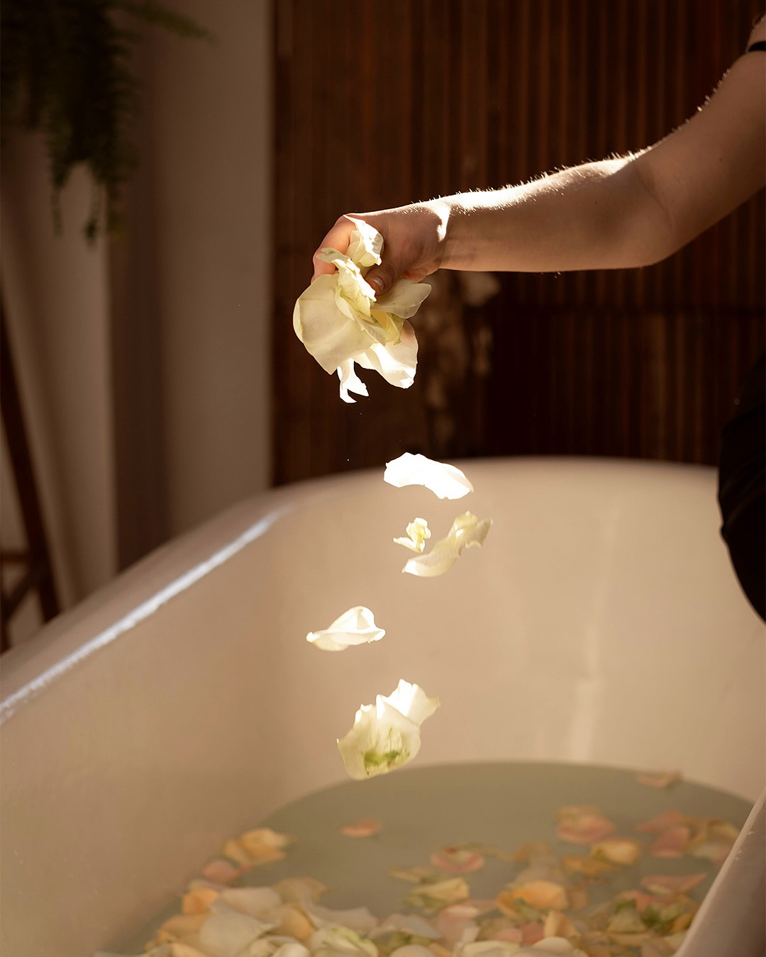 Water flows softly, inviting calm into every part of you.