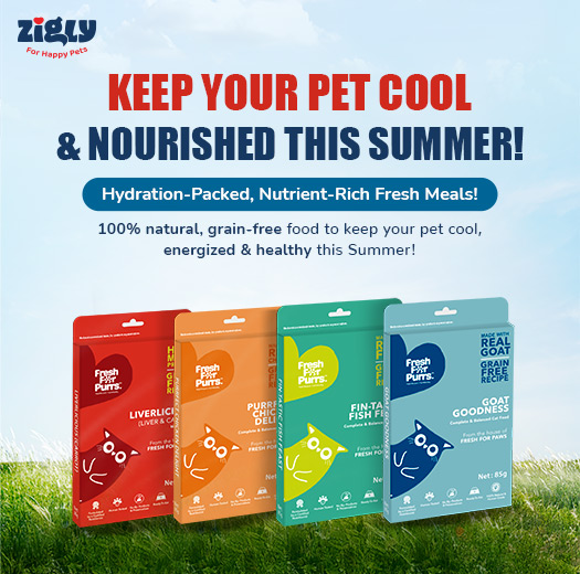 Zigly - Vet Clinic, Pet Grooming & Pet Products