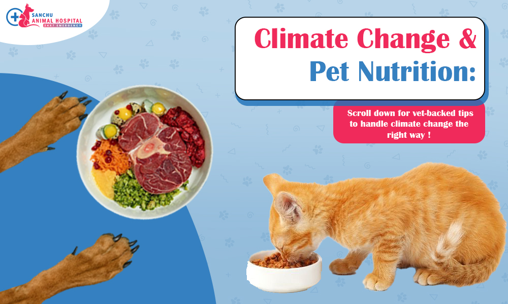 Climate Change and Pet Nutrition: How to Support Your Pet’s Health During Seasonal Shifts