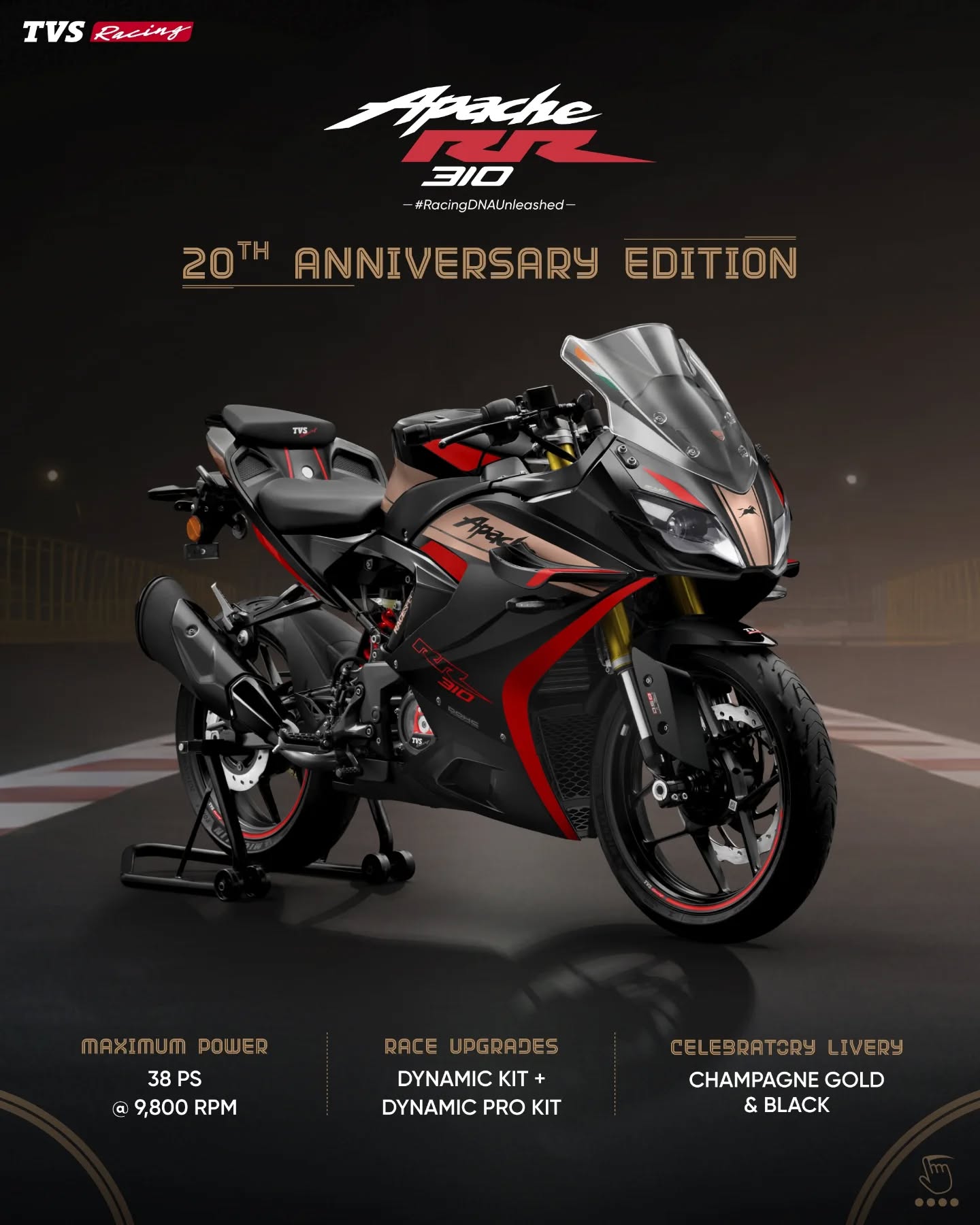 Cloaked in hues of pride and performance.