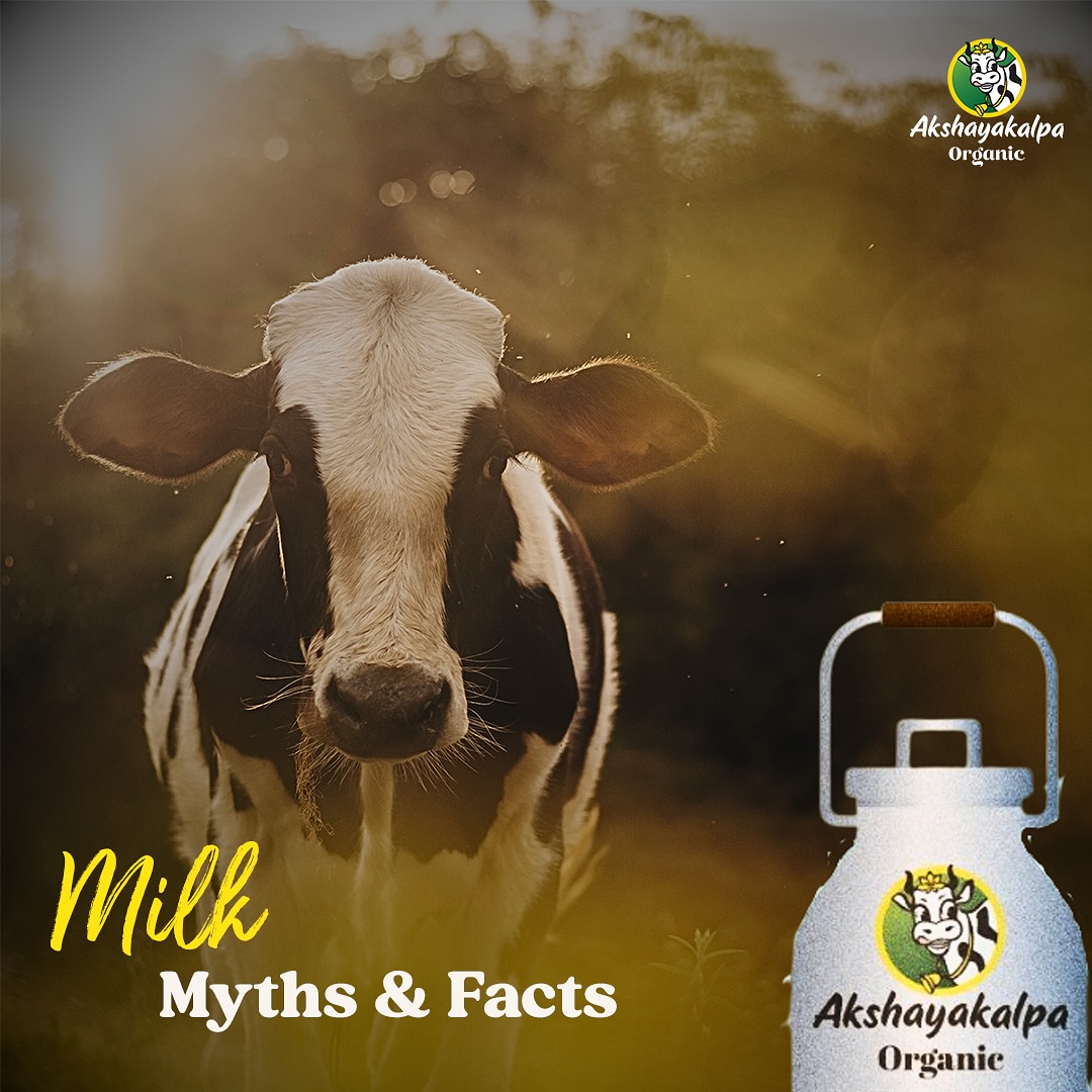 Busting Milk Myths: Know the Facts Before You Sip