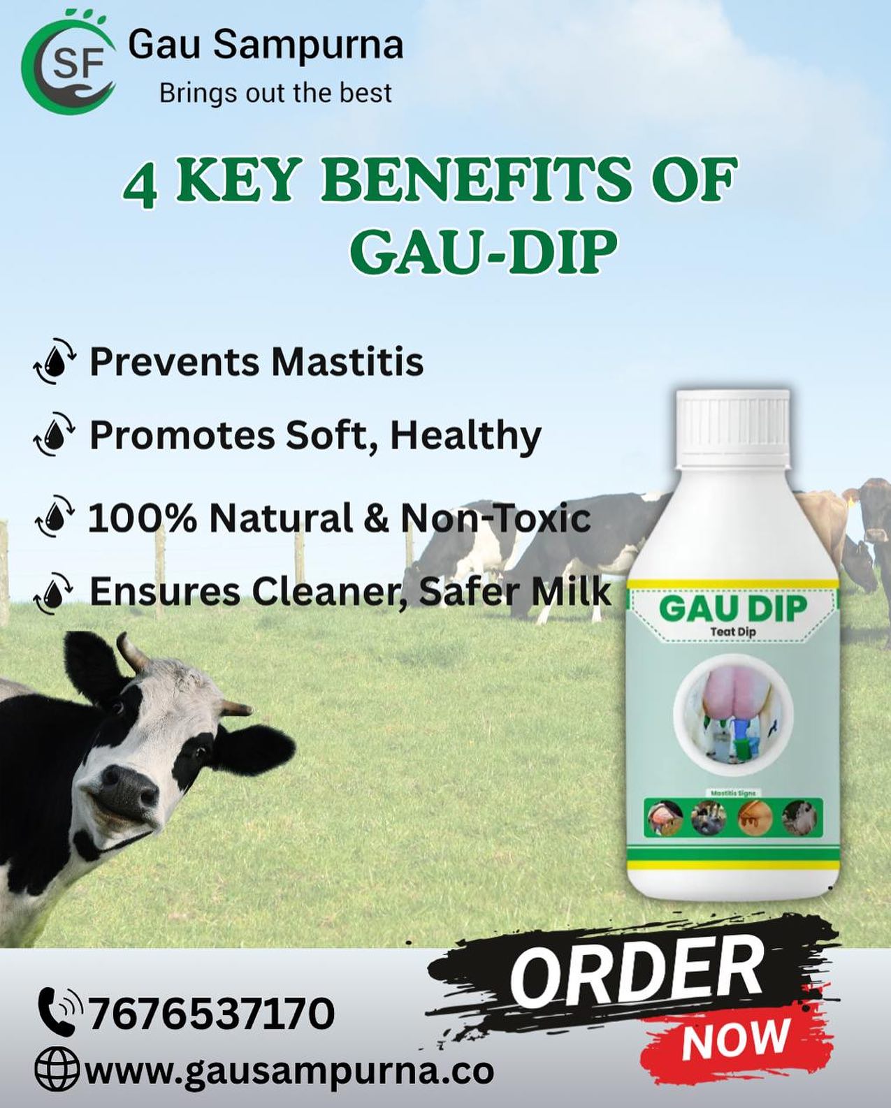 Dip Out Bacteria, Dip Into Profit!