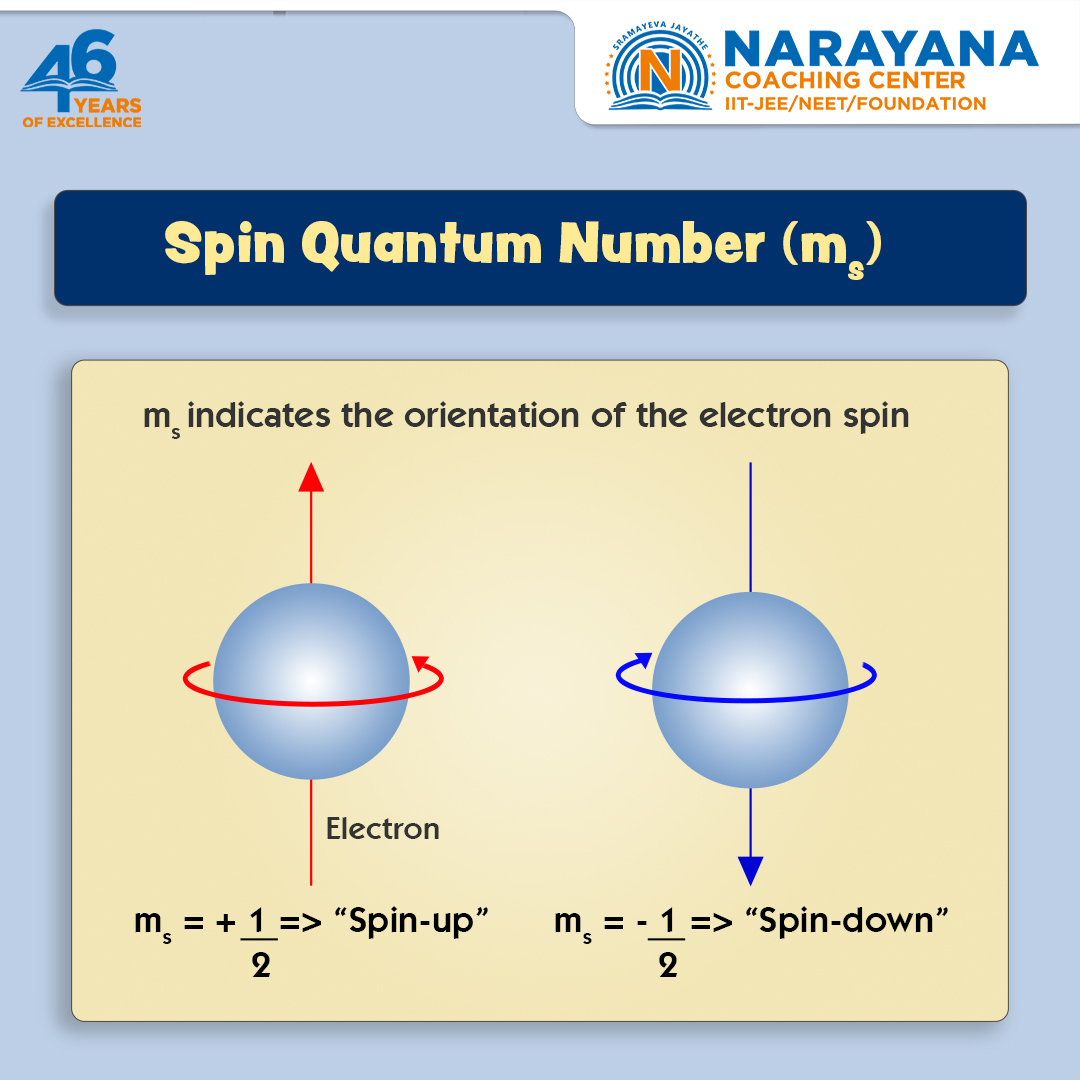 Every electron needs a spin partner! ms dictates the orientation: Spin-up or Spin-down.⚛️