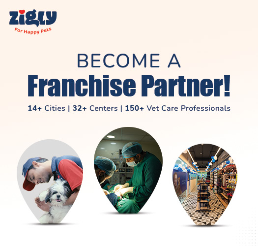 Zigly - Vet Clinic, Pet Grooming & Pet Products