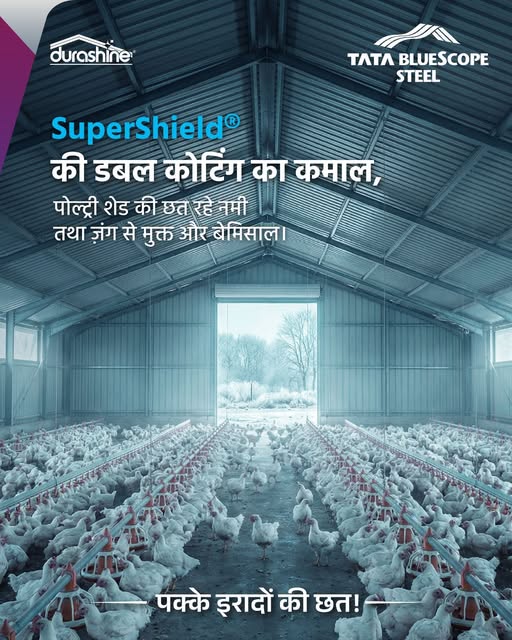 ठंड में पोल्ट्री शेड की छत पर जमी नमी अकसर ज़ंग की वजह बनती है।