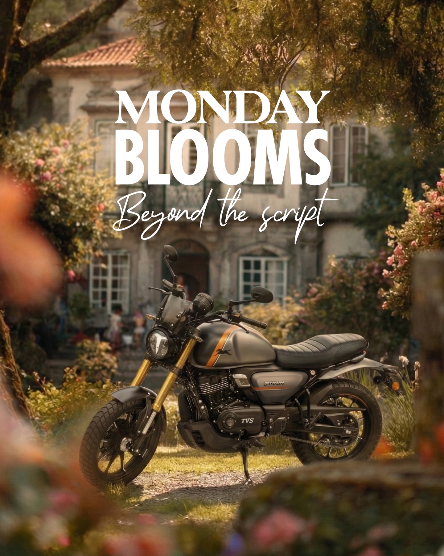 Get past the blues, and into the views.