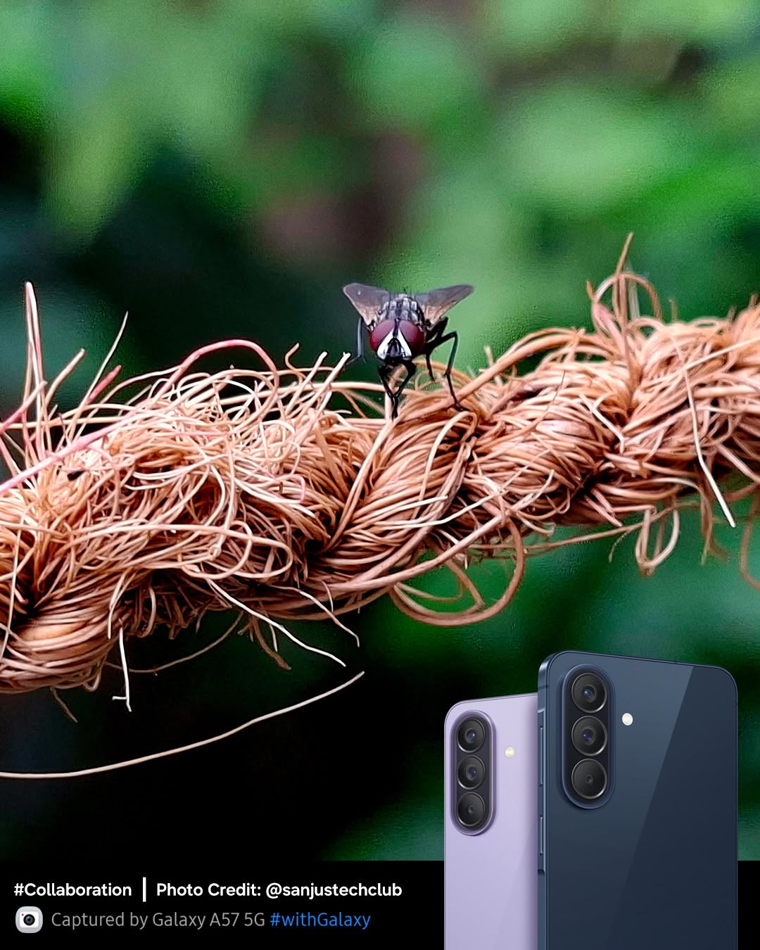 Up close, detailed and undeniably awesome. 📸