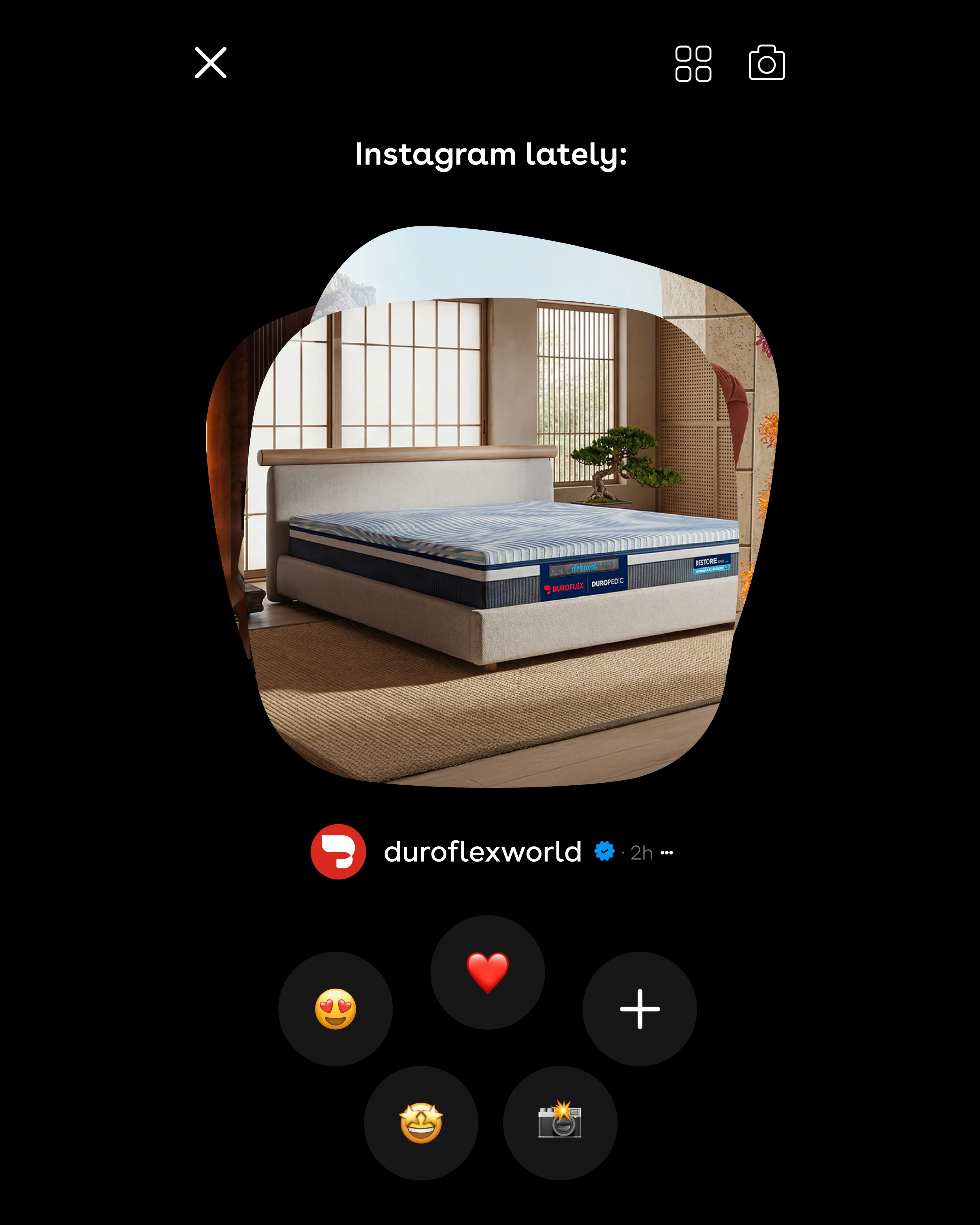 The best instants? Horizontal ones. 😴