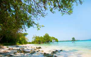Andaman and Nicobar Tourism