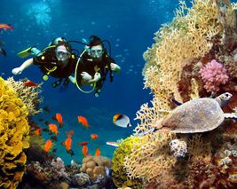 Andaman Honeymoon Packages