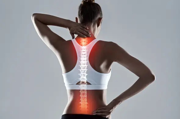 Back Pain Category