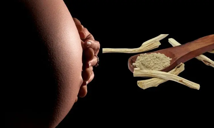 Shatavari During Pregnancy