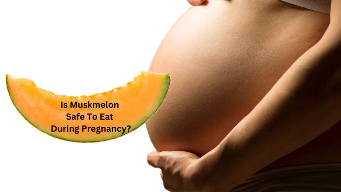 Muskmelon (Kharbuja) During Pregnancy