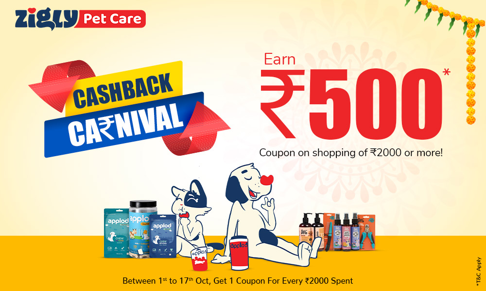 ZIGLY CASHBACK CANIVAL
