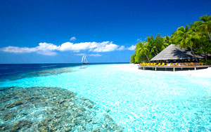 International Tour Packages Category