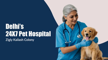 Compassion Meets Cutting-Edge Care at the Zigly Kailash Colony 24×7 Pet Hospital