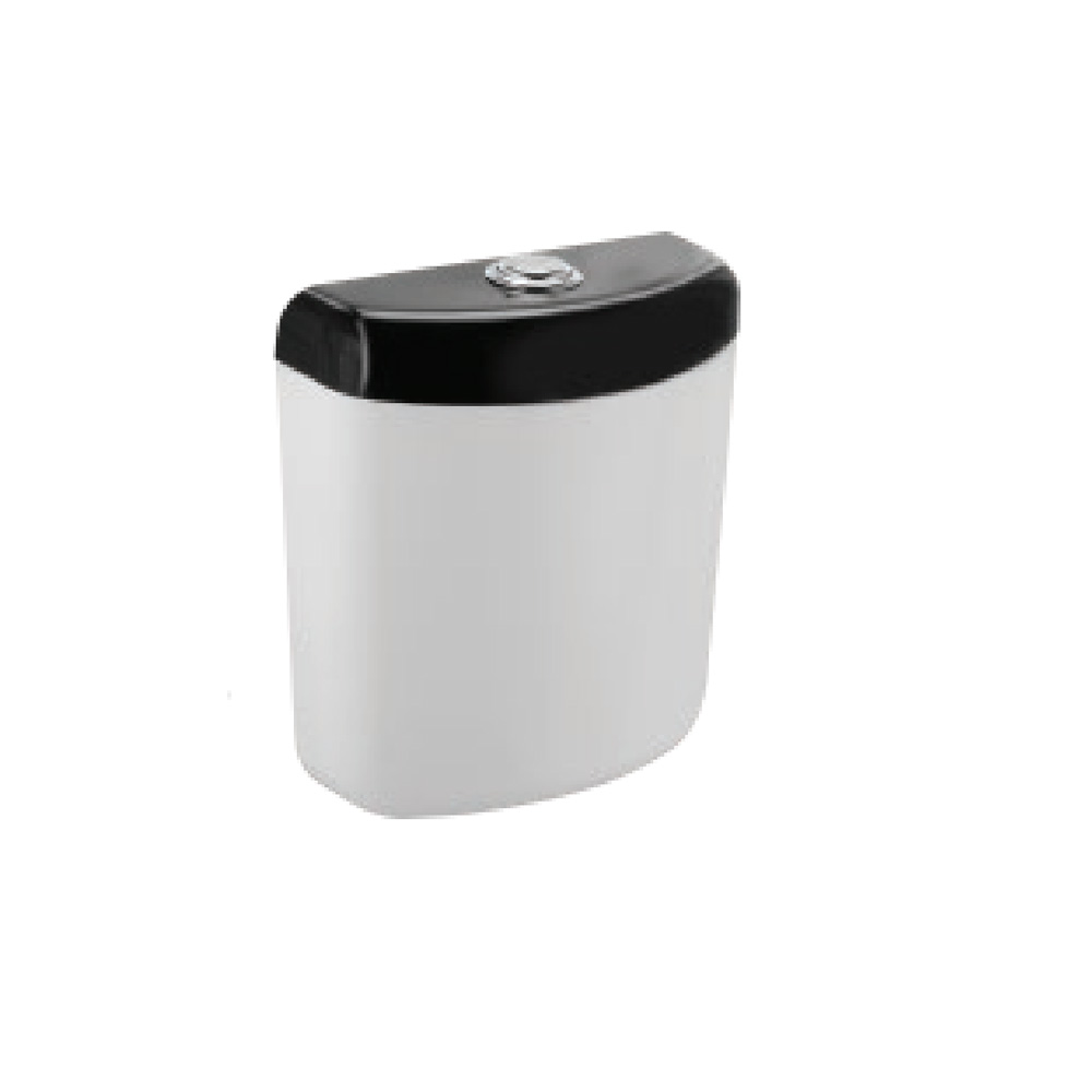 Wall Hung Cistern Wall Hung Cistern