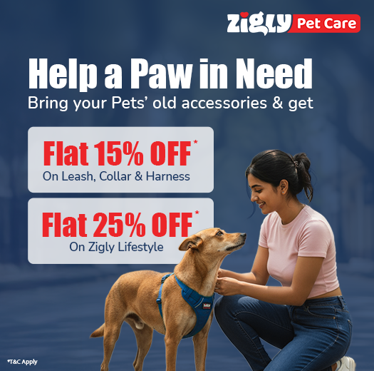 Zigly Pet Care - Vet Clinic, Pet Grooming & Pet Products