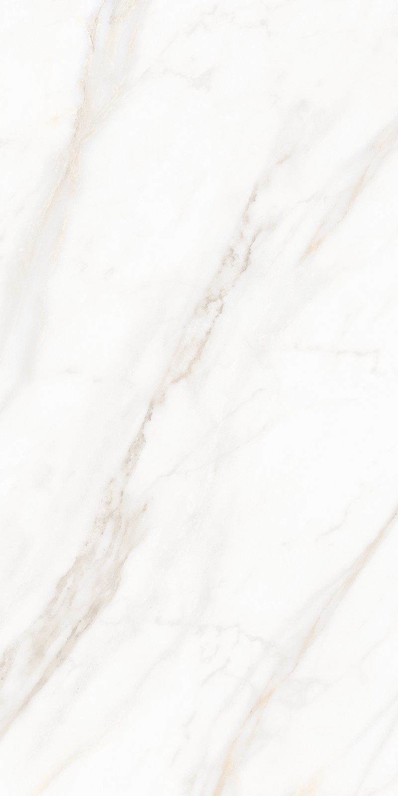 Fressia White (Mellora)