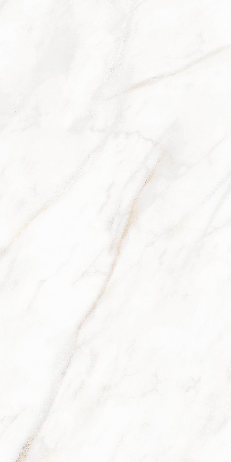 Fressia White (Mellora)