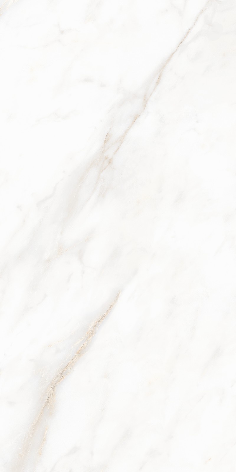 Fressia White (Mellora)