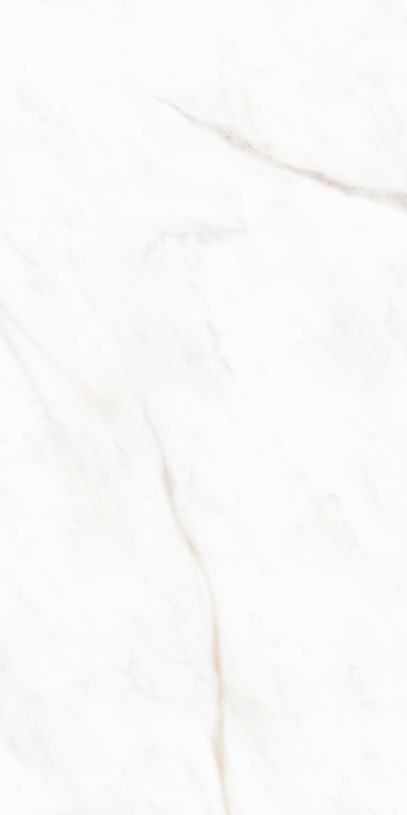 Fressia White (Velvique)