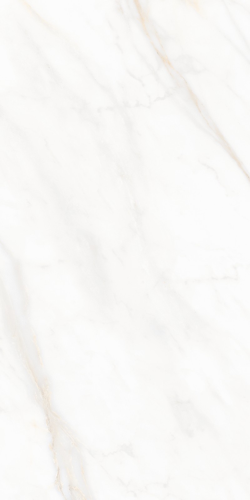 Fressia White (Velvique)