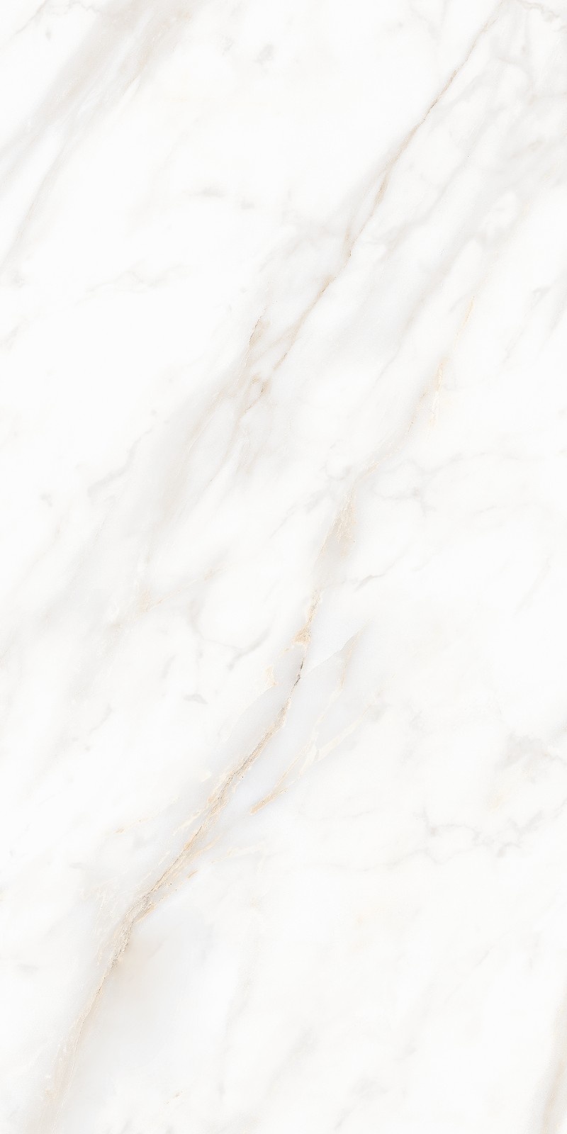 Fressia White (Glassio)