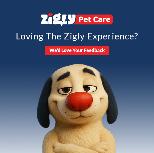 Zigly Pet Care - Vet Clinic, Pet Grooming & Pet Products