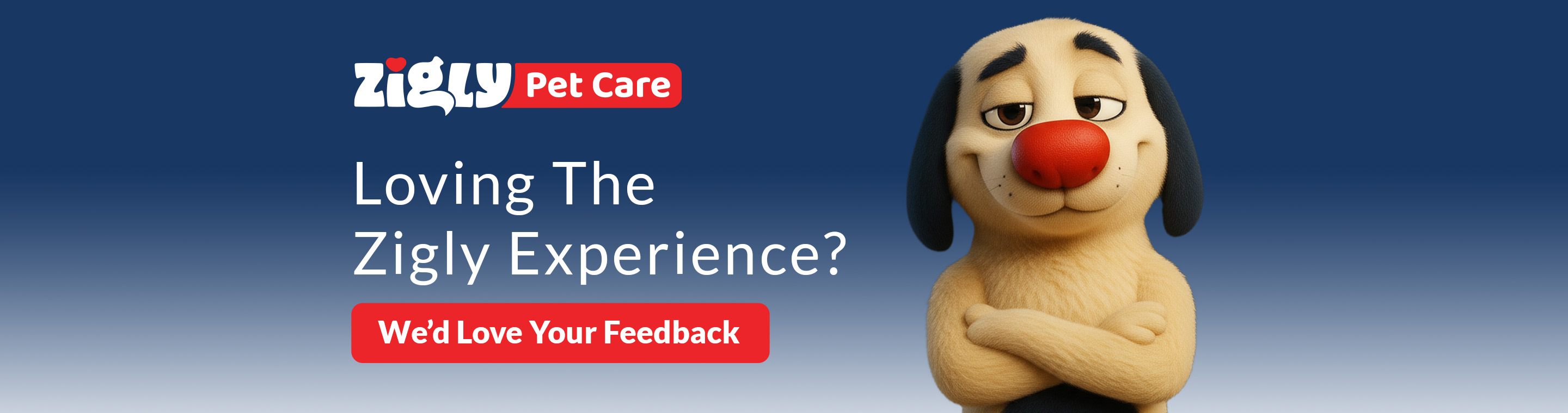 Zigly Pet Care - Vet Clinic, Pet Grooming & Pet Products