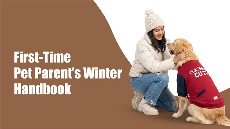First-Time Pet Parent Winter Handbook: Essential Care Tips for Puppies and Kittens in Kalyani Nagar, pune