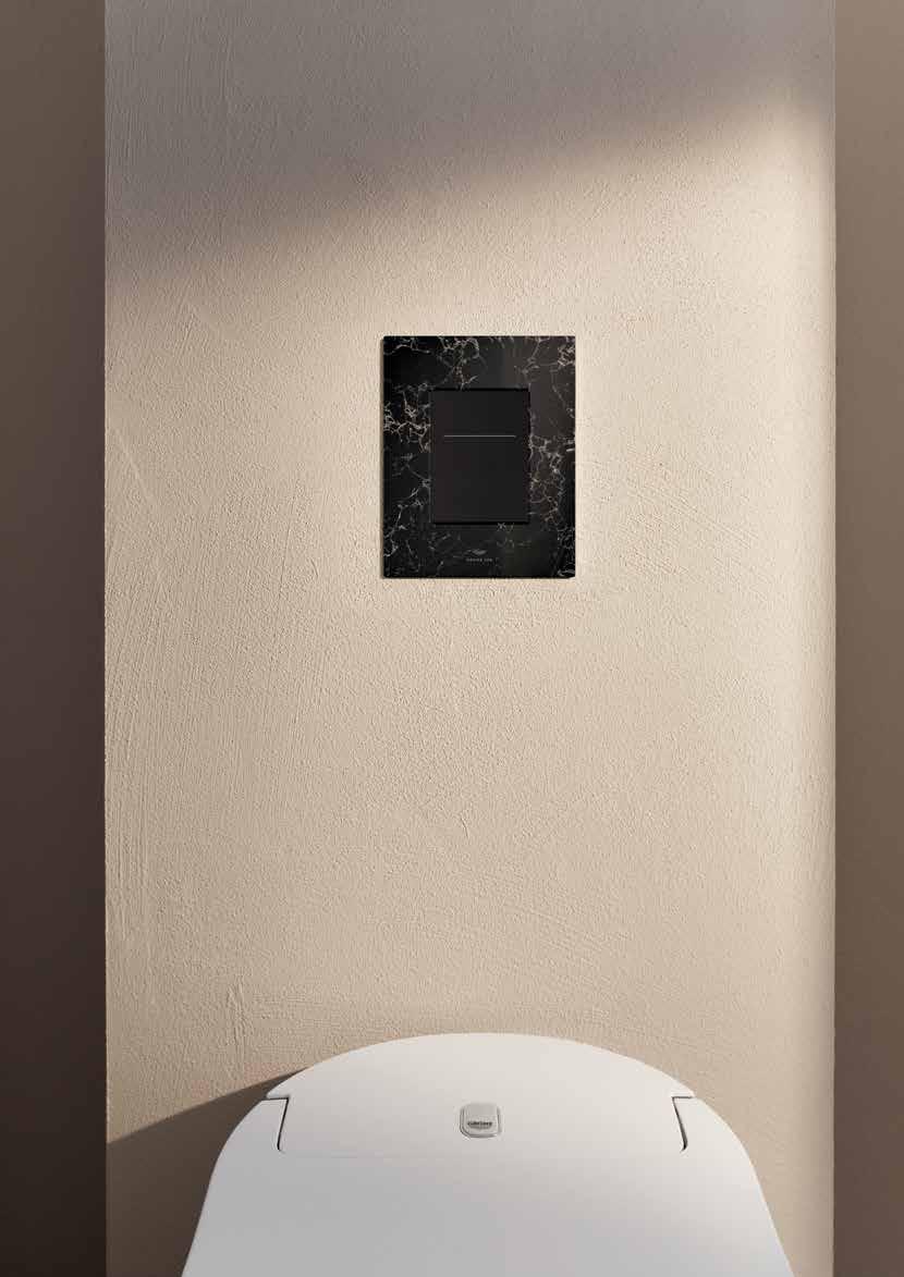 Flush Plates Category