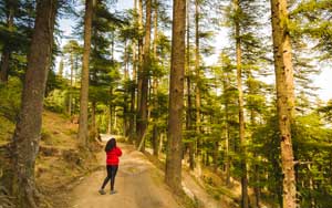 Manali Tour Packages