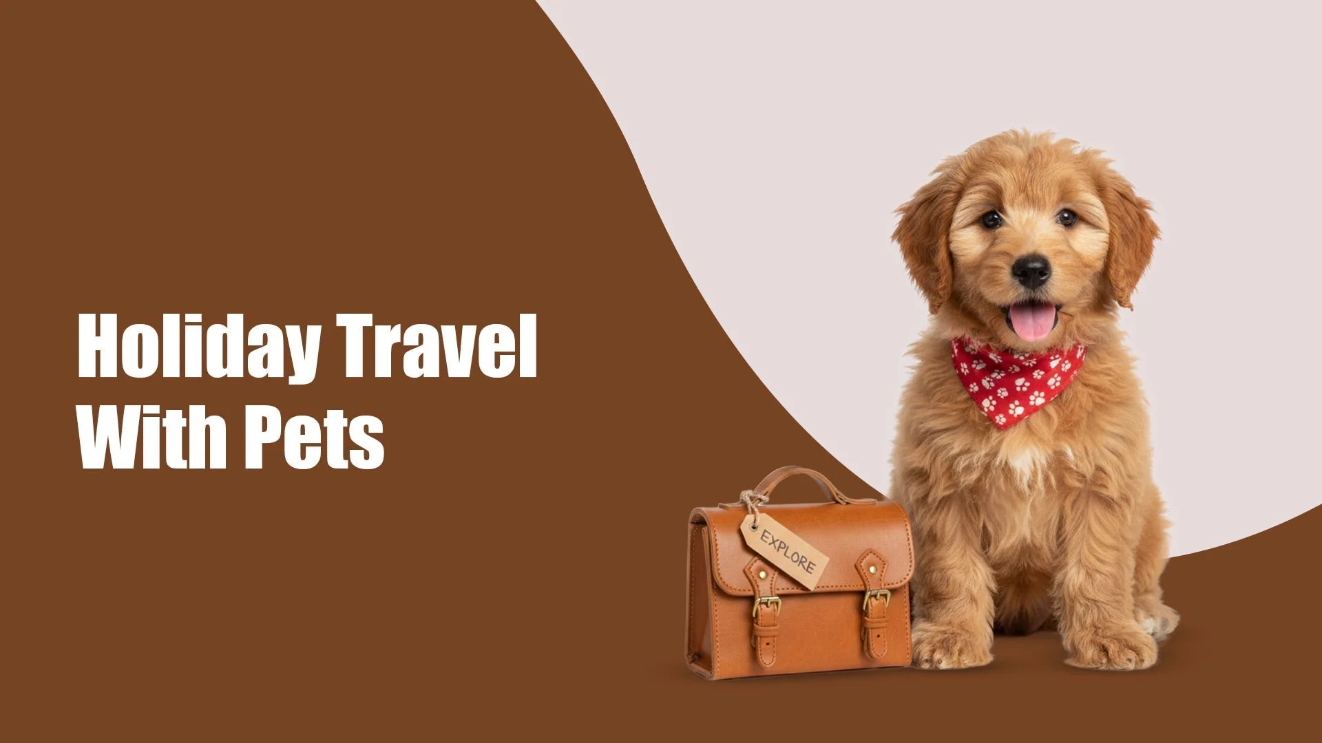 Holiday Travel With Pets in Sectors 47 and 49, gurugram: What to Pack, Prep & Plan for a Stress-Free Trip Holiday Travel With Pets in Sectors 47 and 49, gurugram: What to Pack, Prep & Plan for a Stress-Free Trip