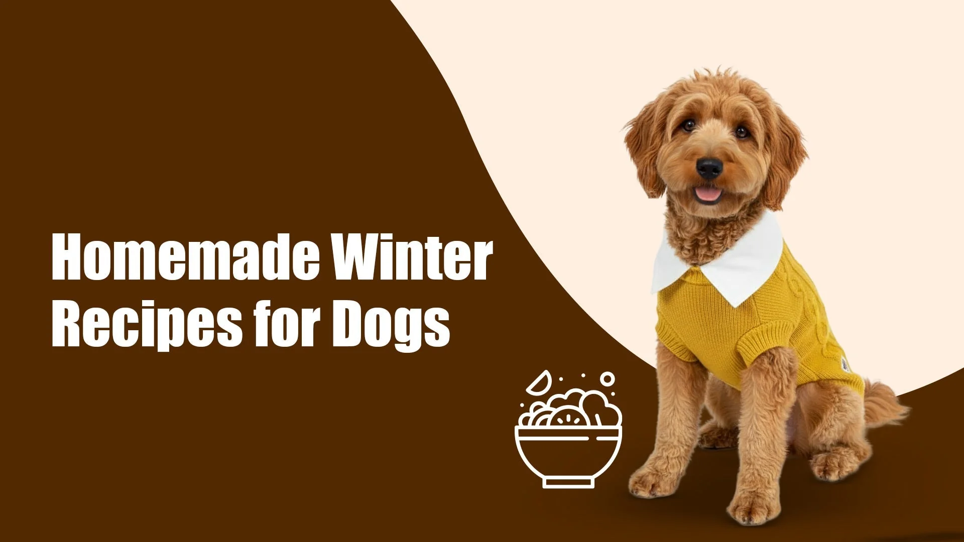 Homemade Winter Recipes for Dogs in Sectors 47 and 49, gurugram: Warm, Wholesome Meals for Cold Days Homemade Winter Recipes for Dogs in Sectors 47 and 49, gurugram: Warm, Wholesome Meals for Cold Days