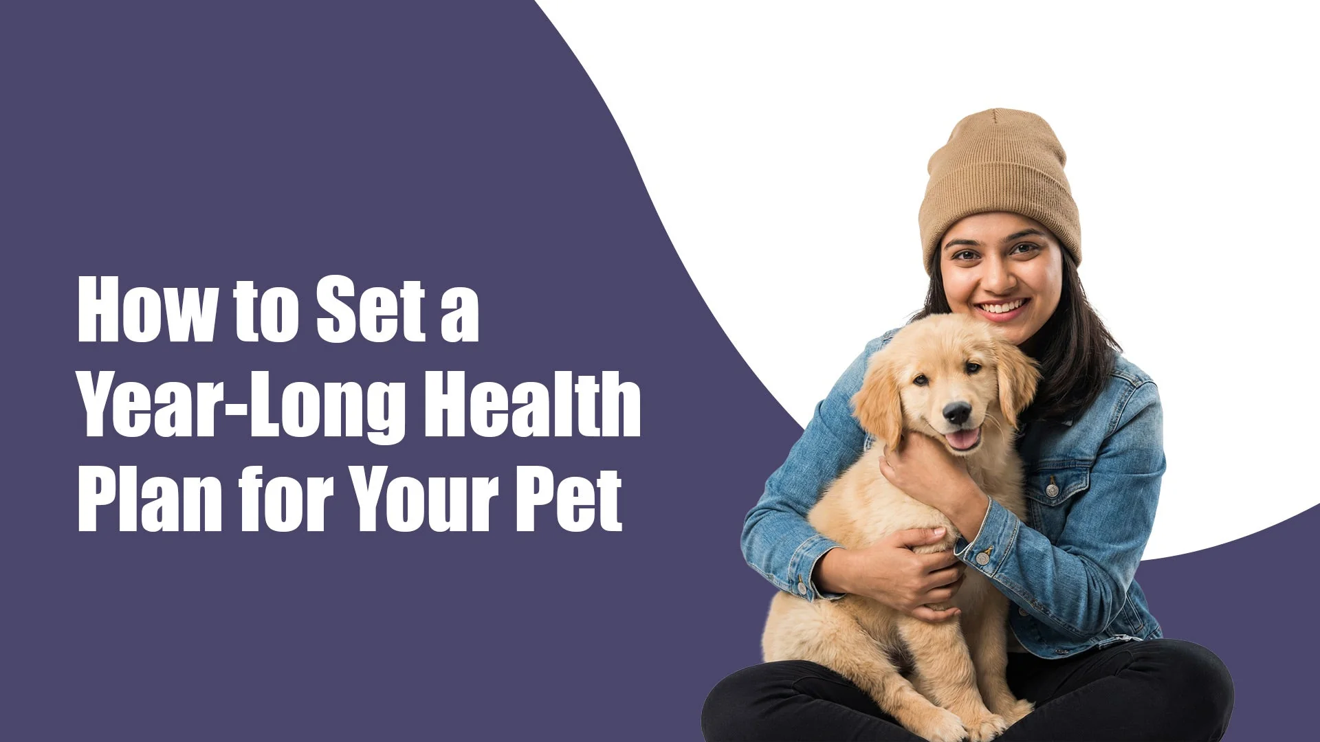 How to Set a Year-Long Health Plan for Your Pet