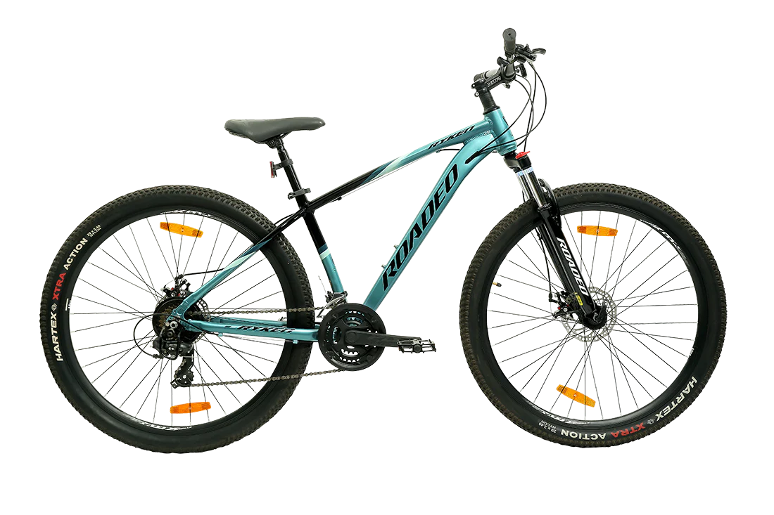 Roadeo Ryken 21 Speed