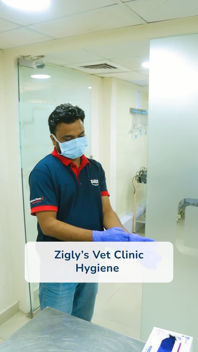 At Zigly, we maintain the highest standards of hygiene and safety - every surface, every tool, every time.