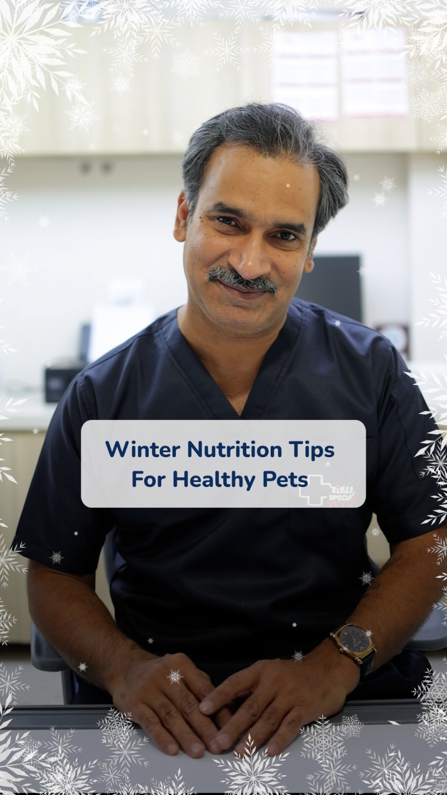 Winter chills are here and your pets need a little extra support to stay warm and healthy.