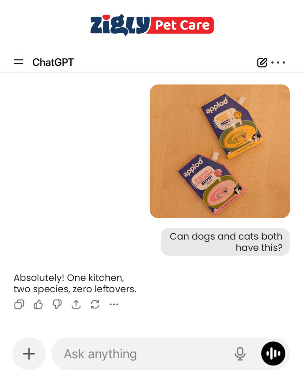 We asked ChatGPT for the best pet essentials..