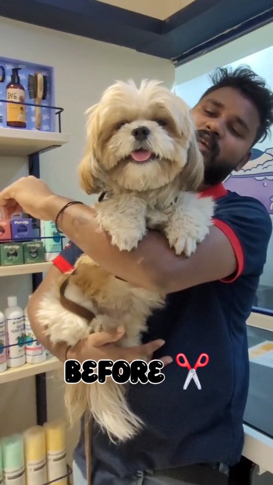 From messy to magical — he’s officially in his fresh fur era